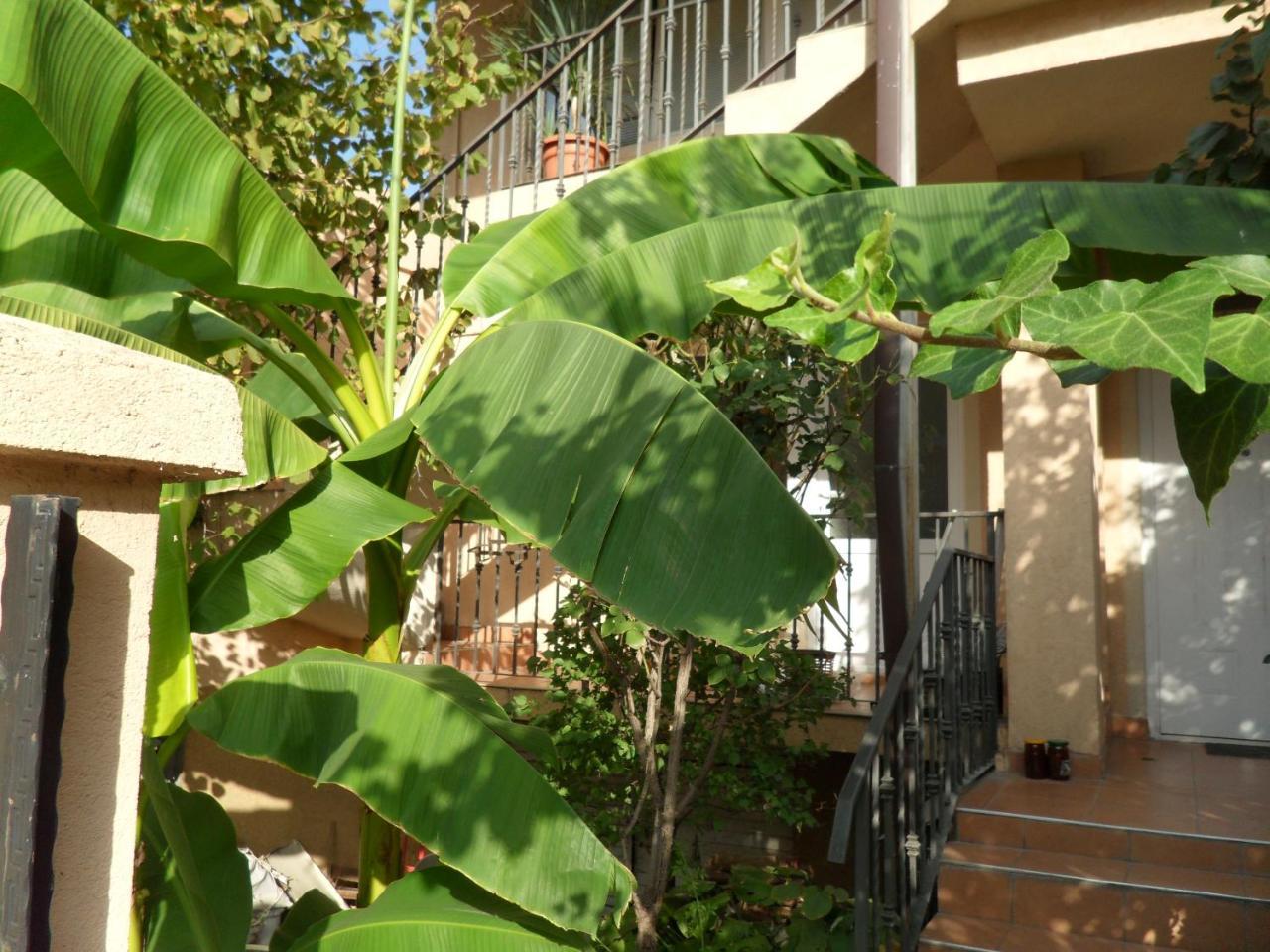Misko'S Guest House Σκόπια Εξωτερικό φωτογραφία